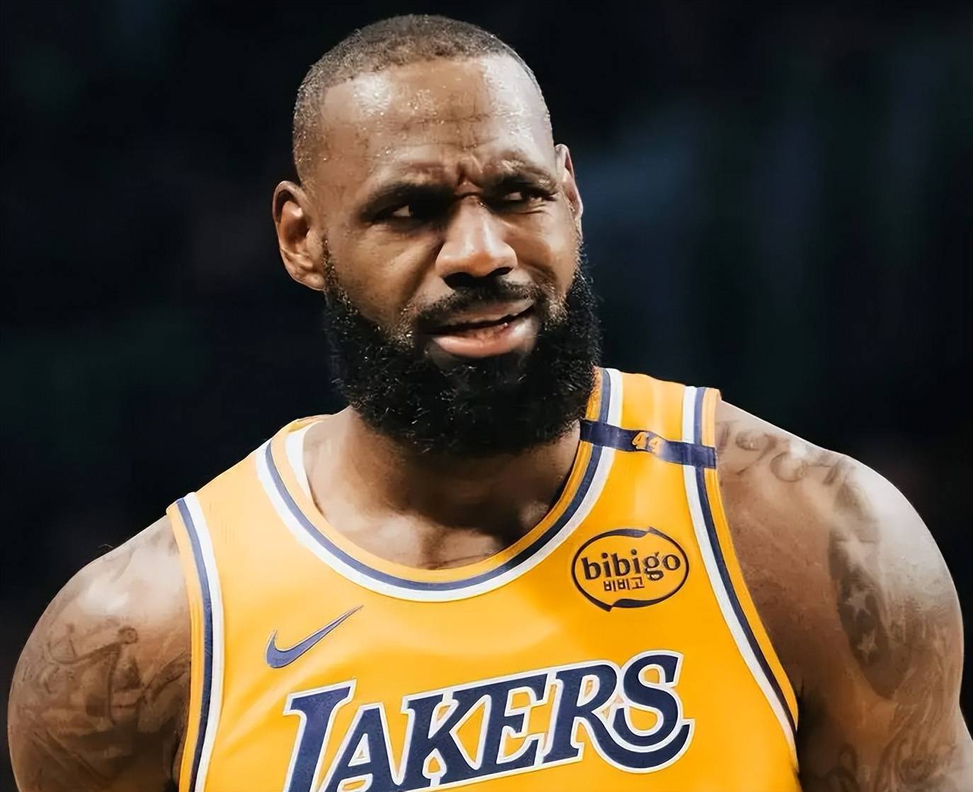 清晨罗马备战NBA总决赛，迎来里程碑细节曝光，态度坚定，赛季目标并未改变的简单介绍-米兰体育下载